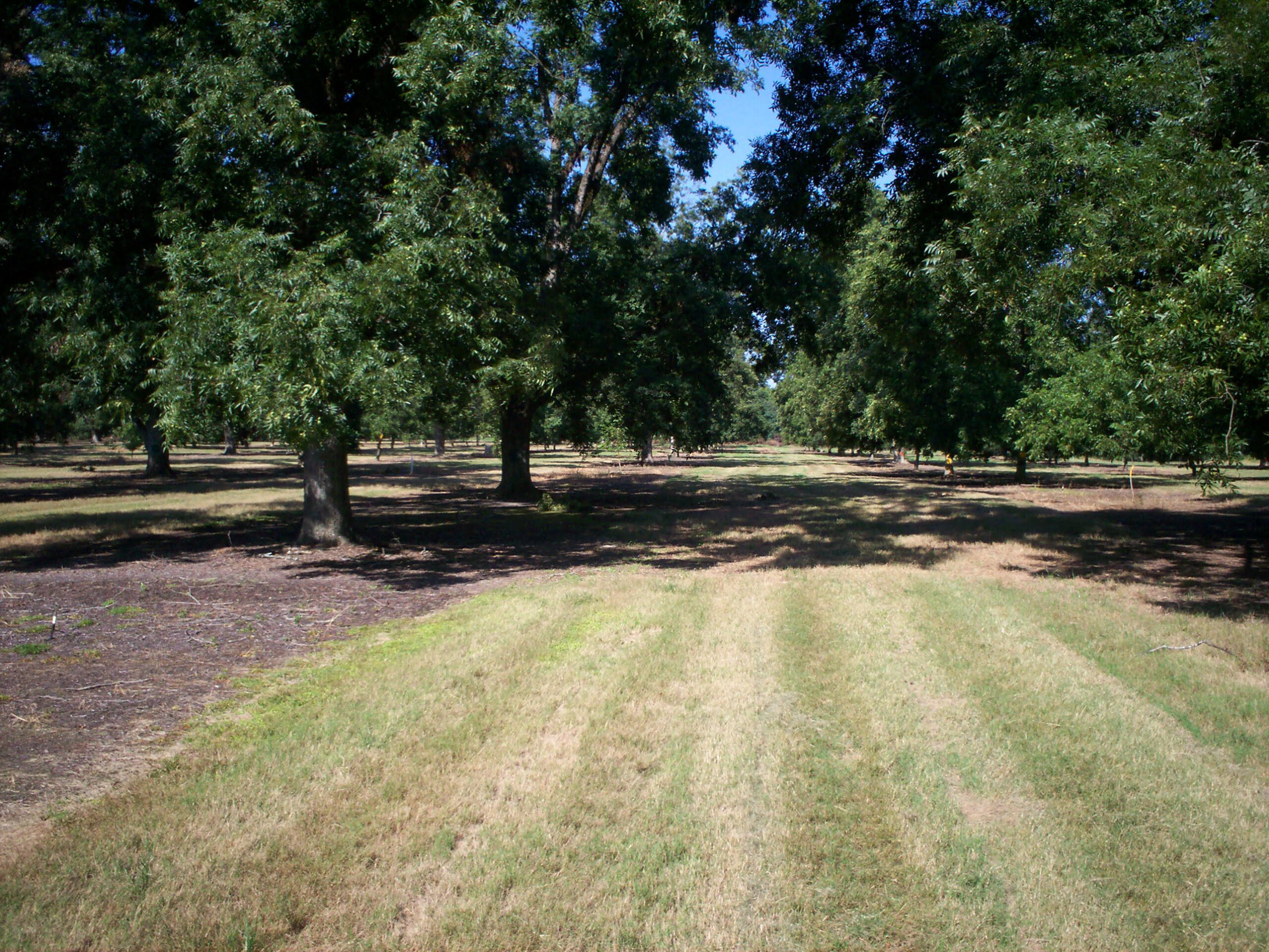 Good Hope Farms photo